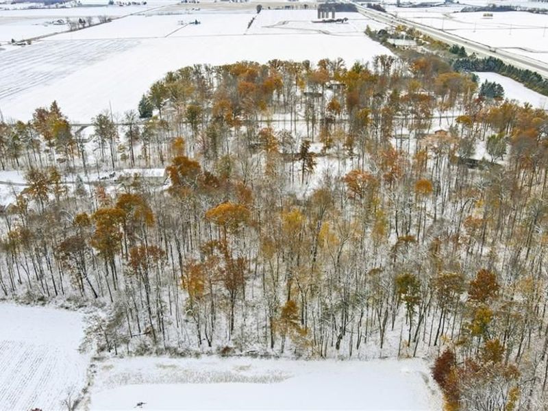 14333 Meranda Road, Anna, OH 45302 Photo 83