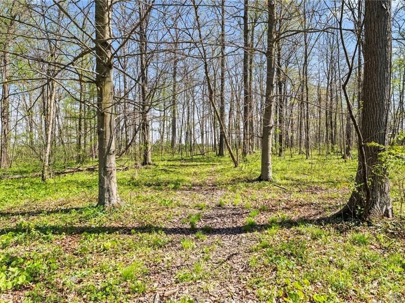 14333 Meranda Road, Anna, OH 45302 Photo 90