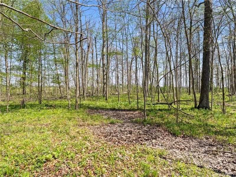 14333 Meranda Road, Anna, OH 45302 Photo 91