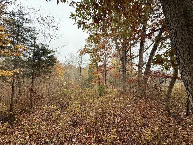 530 Rankin Mill Road, Falmouth, KY 41040 Photo 43