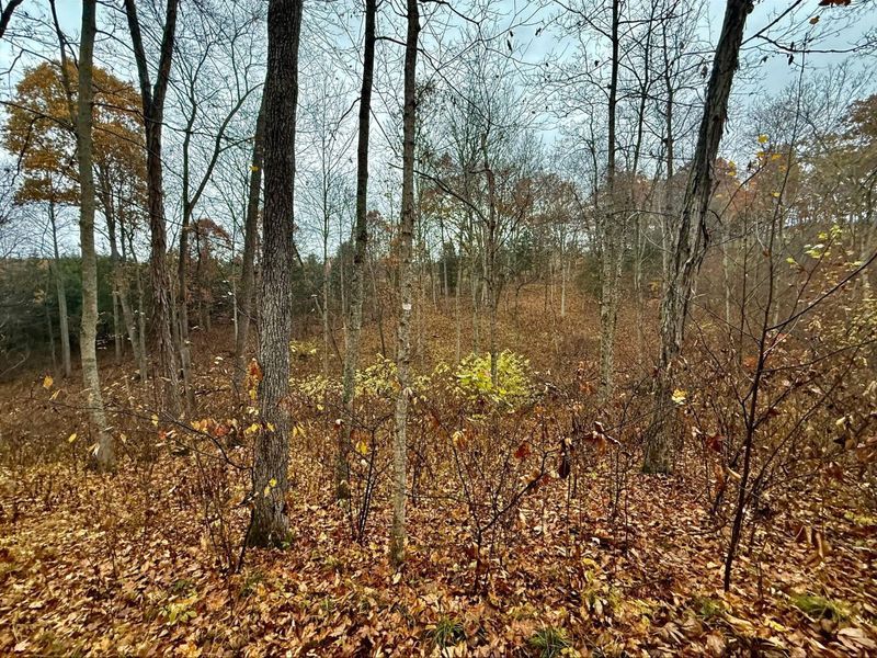 530 Rankin Mill Road, Falmouth, KY 41040 Photo 44