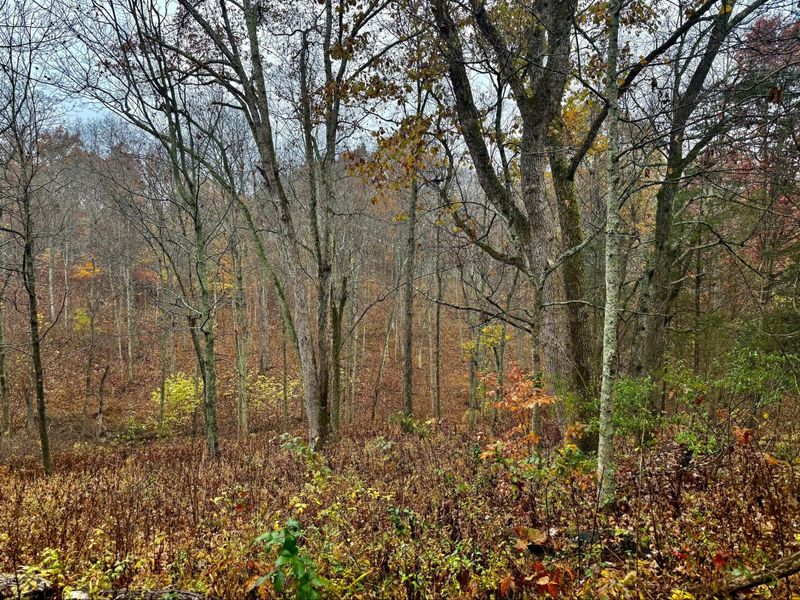 530 Rankin Mill Road, Falmouth, KY 41040 Photo 45