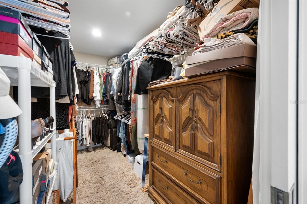 1813 N Riverhills Drive, Temple Terrace, FL 33617 Photo