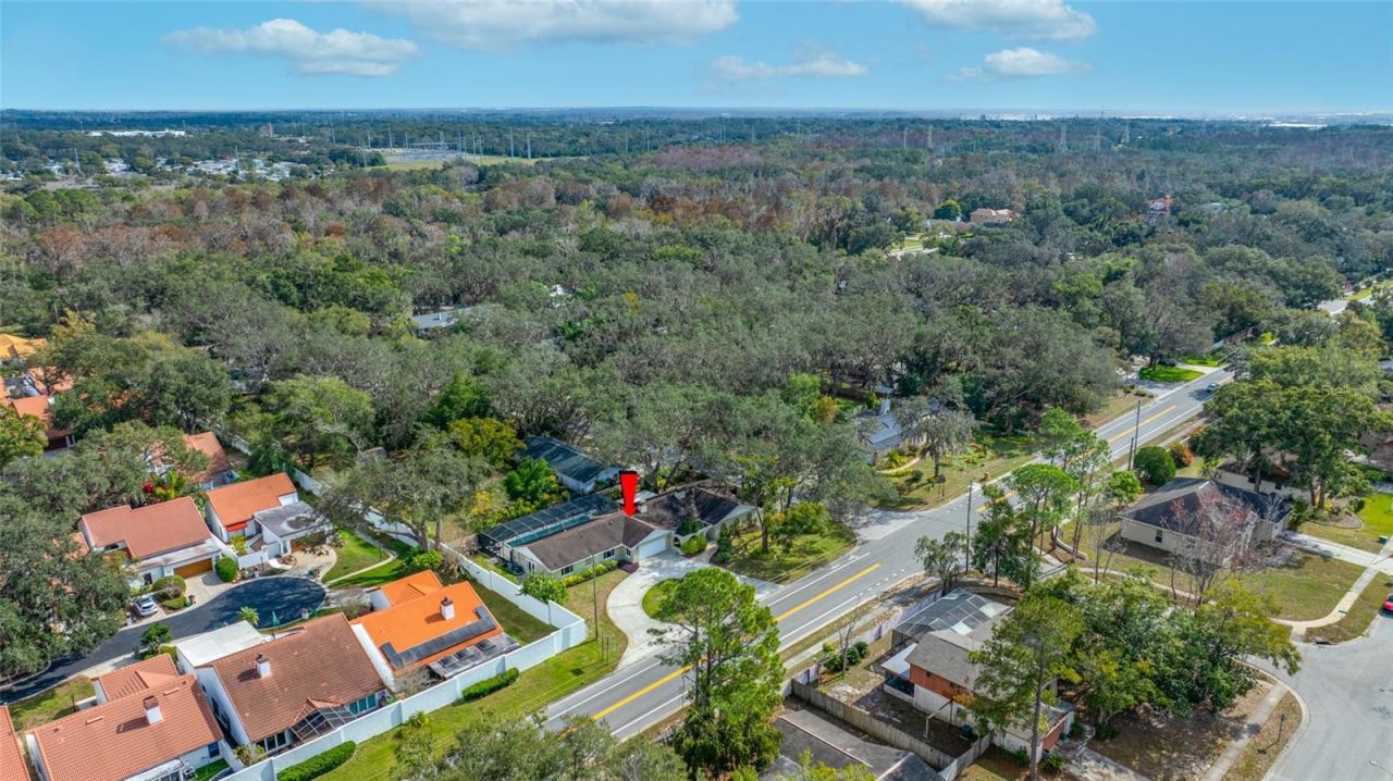 1813 N Riverhills Drive, Temple Terrace, FL 33617 Photo