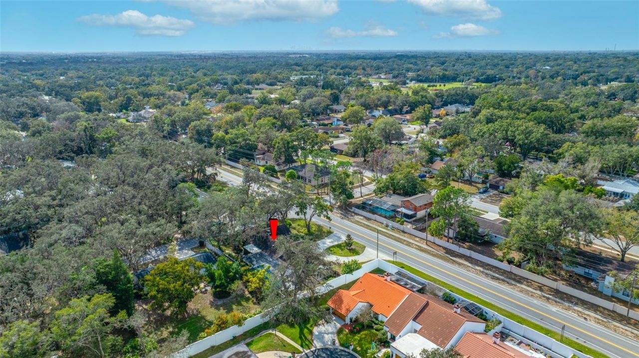 1813 N Riverhills Drive, Temple Terrace, FL 33617 Photo