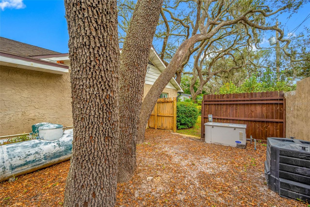 1813 N Riverhills Drive, Temple Terrace, FL 33617 Photo