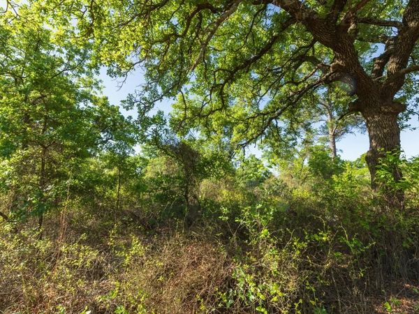 TBD Private Road 705, Anson, TX 79501