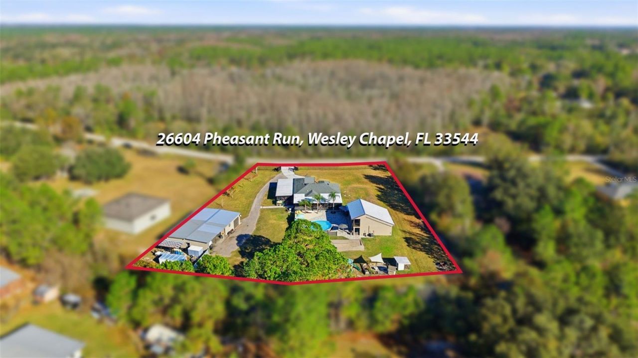 26604 Pheasant Run, Wesley Chapel, FL 33544 Photo