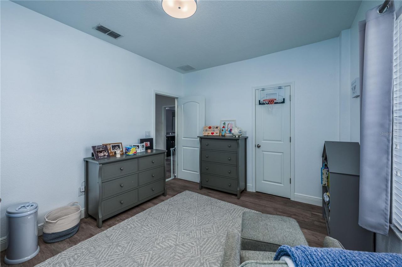 23986 Terracina Court, Land O Lakes, FL 34639 Photo