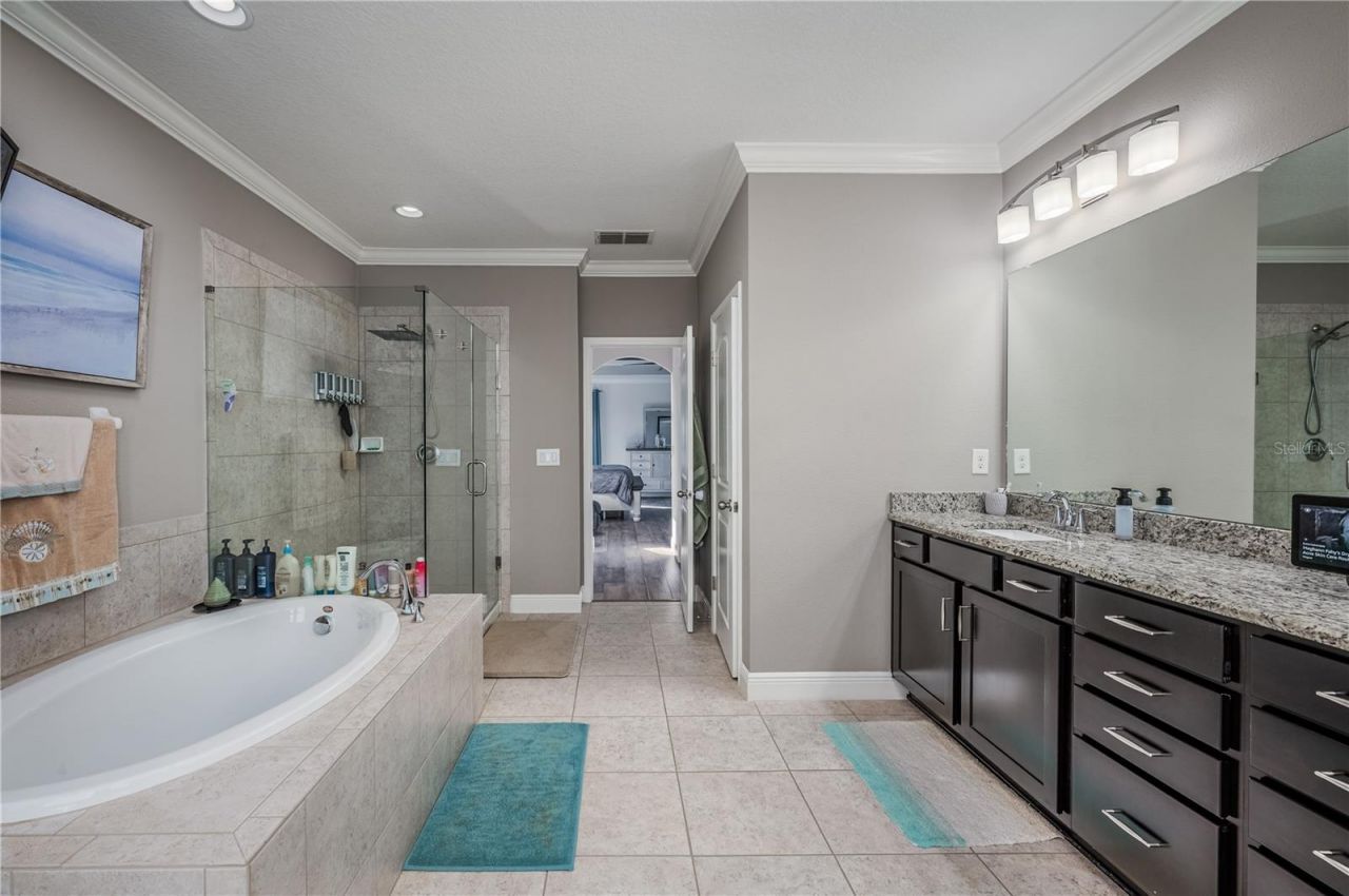 23986 Terracina Court, Land O Lakes, FL 34639 Photo