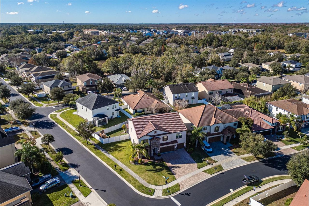 23986 Terracina Court, Land O Lakes, FL 34639 Photo