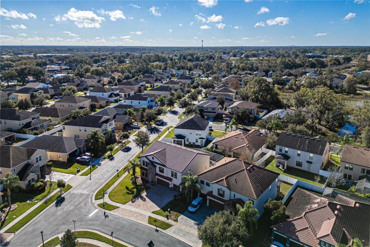 23986 Terracina Court, Land O Lakes, FL 34639 Photo