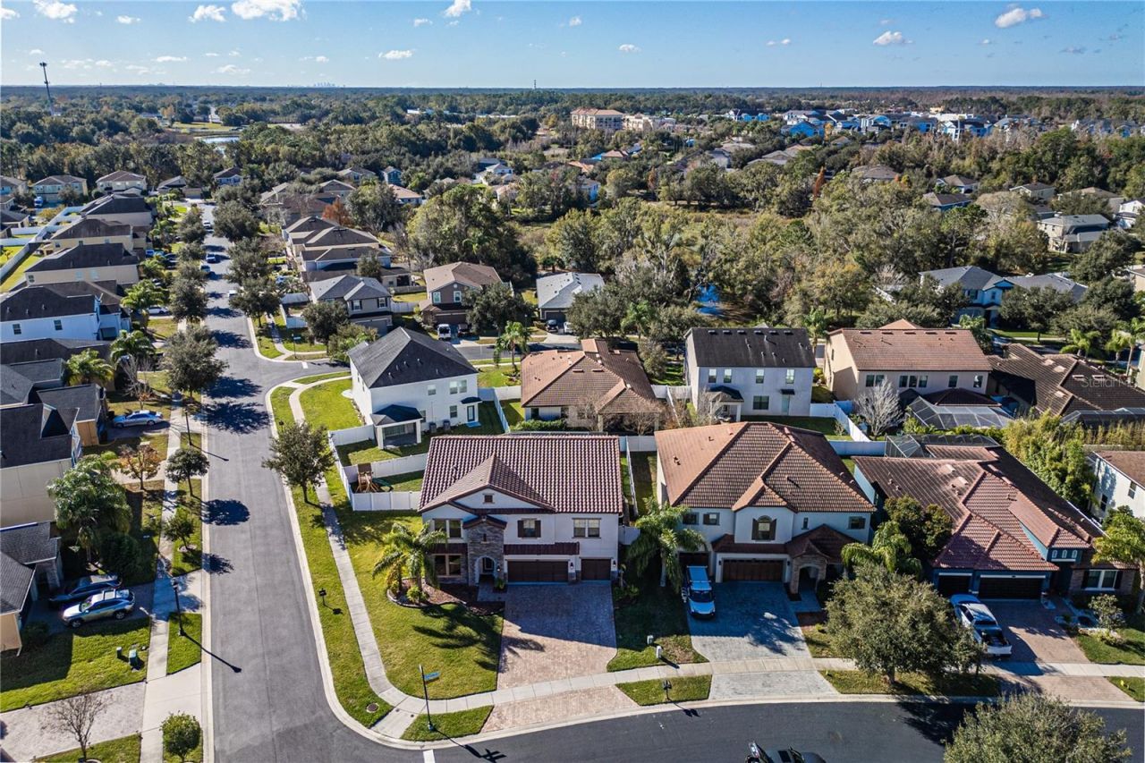 23986 Terracina Court, Land O Lakes, FL 34639 Photo