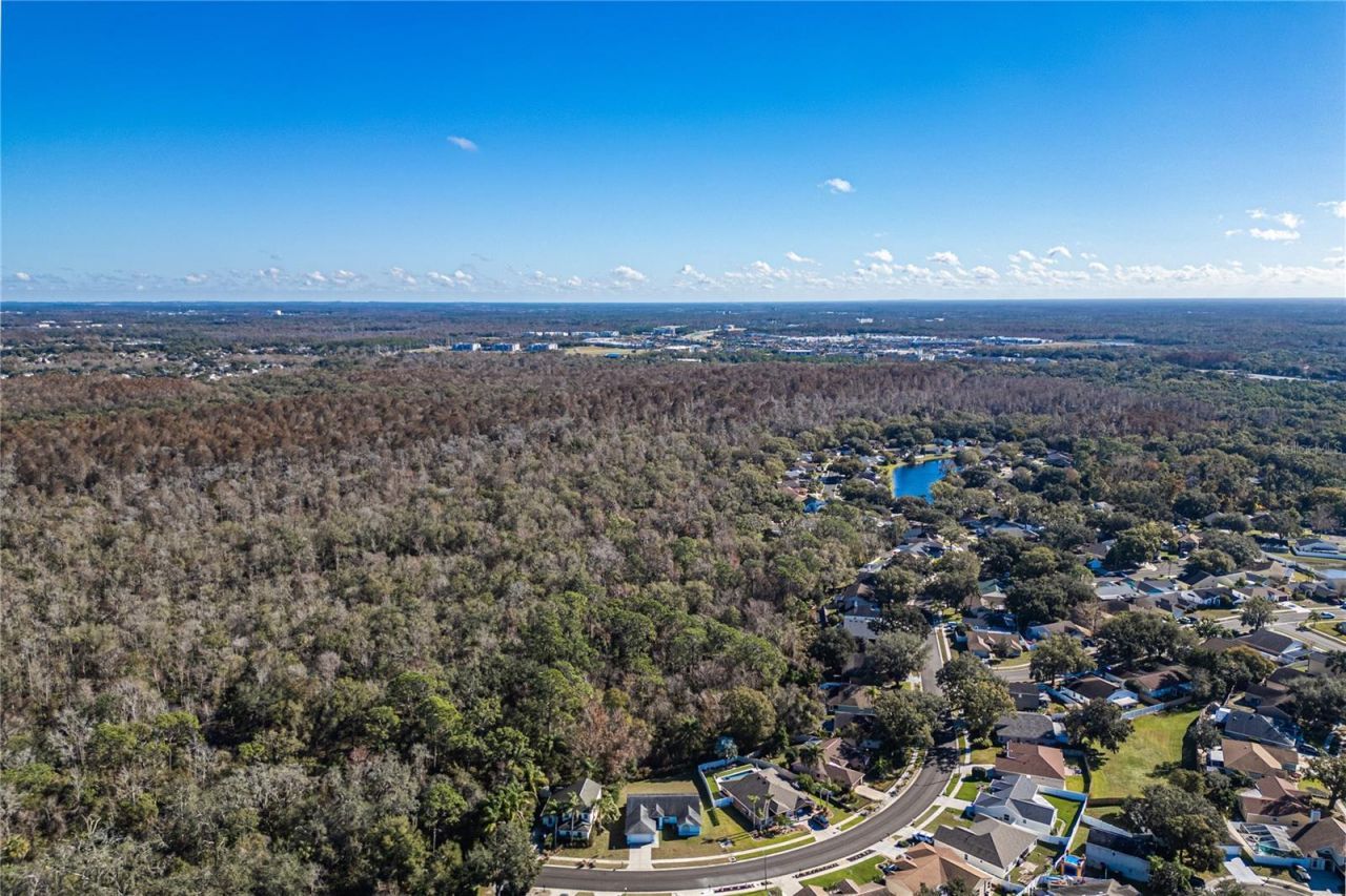 23986 Terracina Court, Land O Lakes, FL 34639 Photo