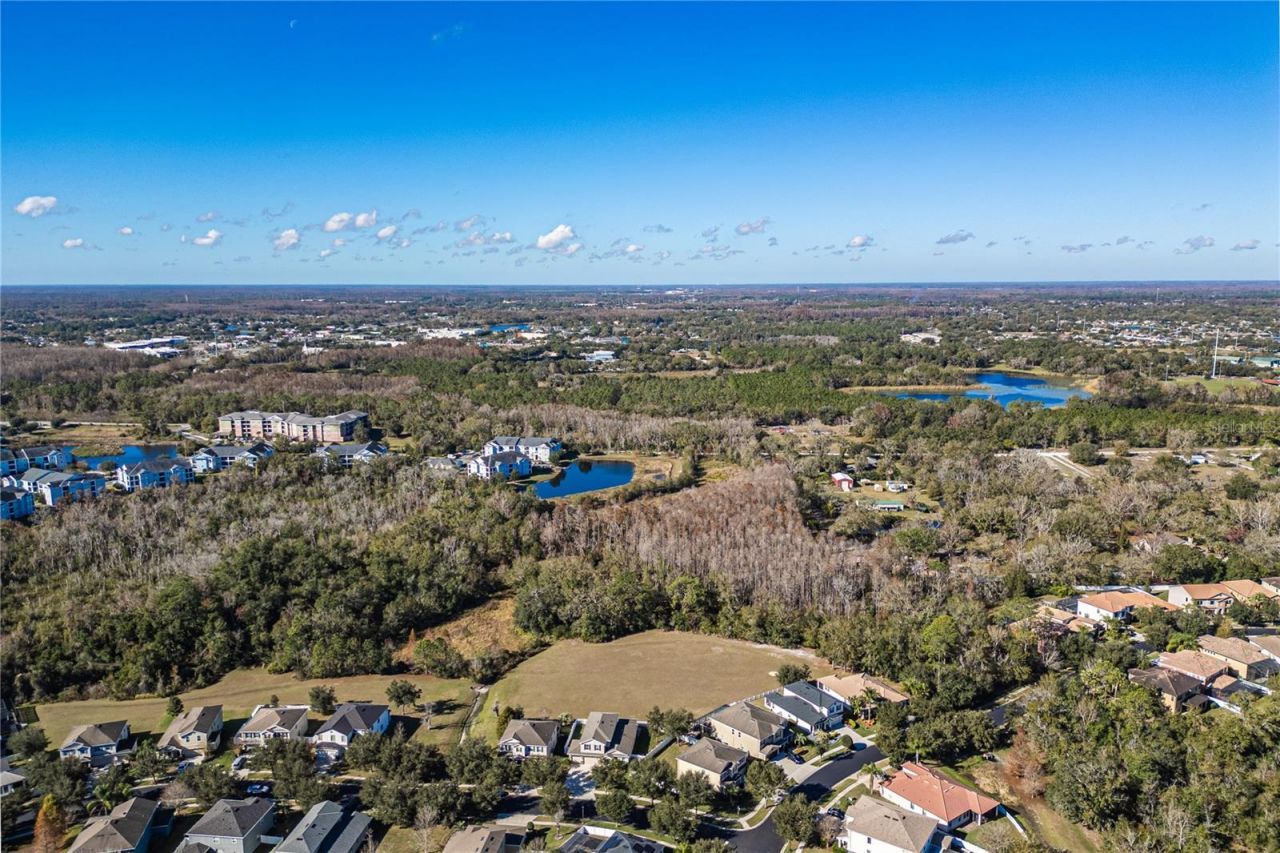 23986 Terracina Court, Land O Lakes, FL 34639 Photo