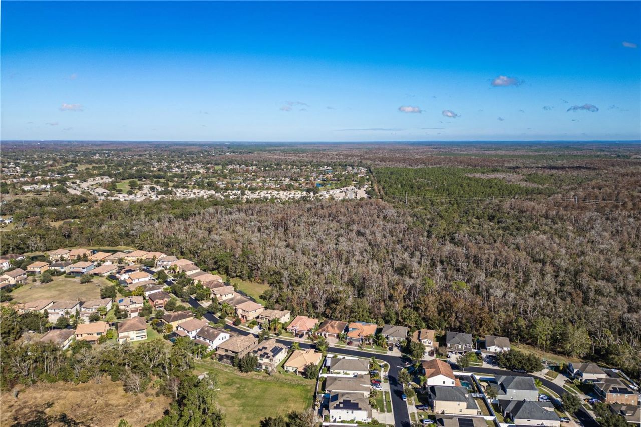 23986 Terracina Court, Land O Lakes, FL 34639 Photo