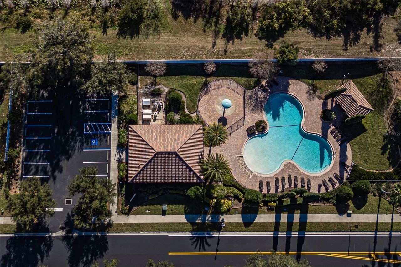 23986 Terracina Court, Land O Lakes, FL 34639 Photo