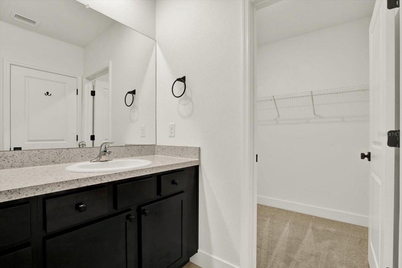 33018 Frosted Clover Way, Wesley Chapel, FL 33545 Photo
