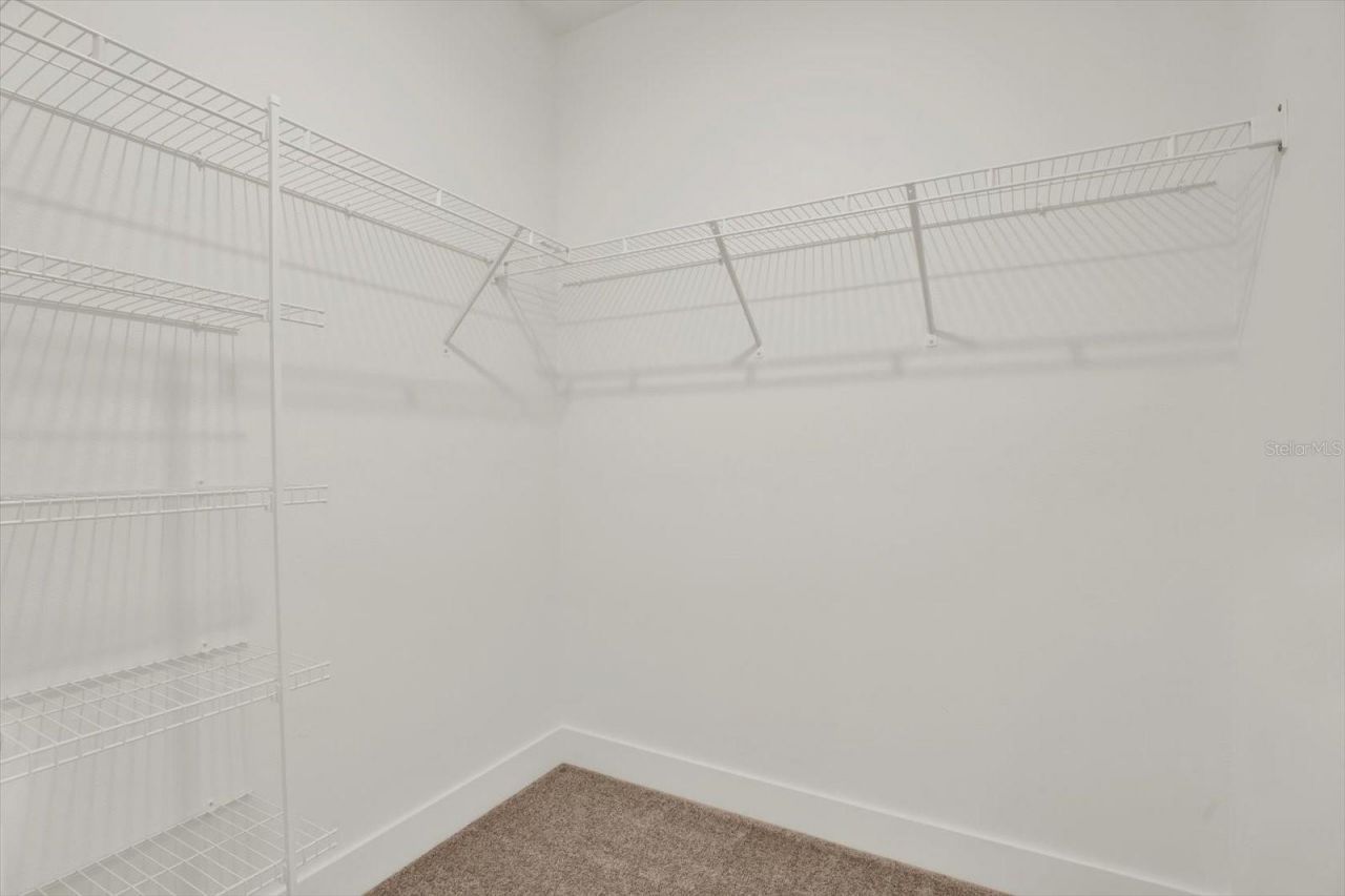 33018 Frosted Clover Way, Wesley Chapel, FL 33545 Photo