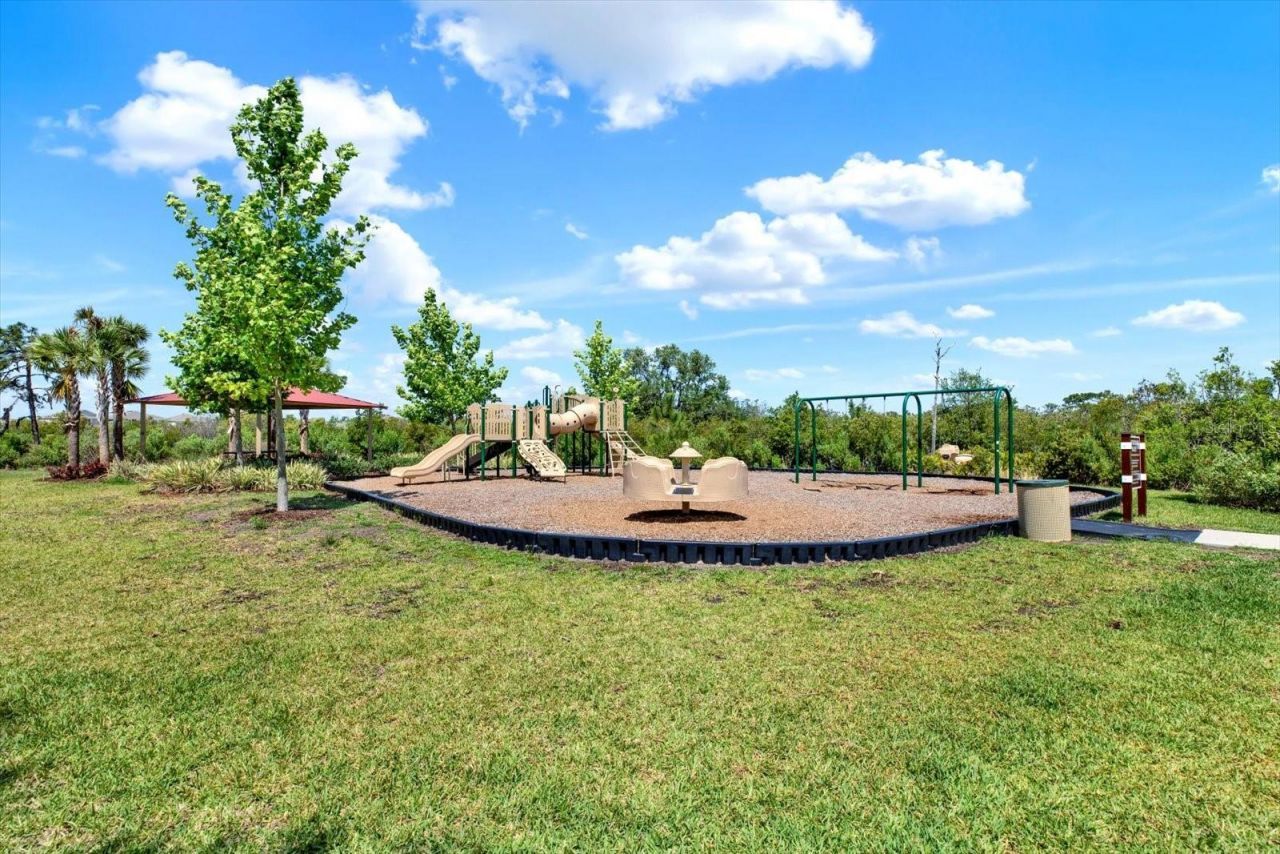 33018 Frosted Clover Way, Wesley Chapel, FL 33545 Photo