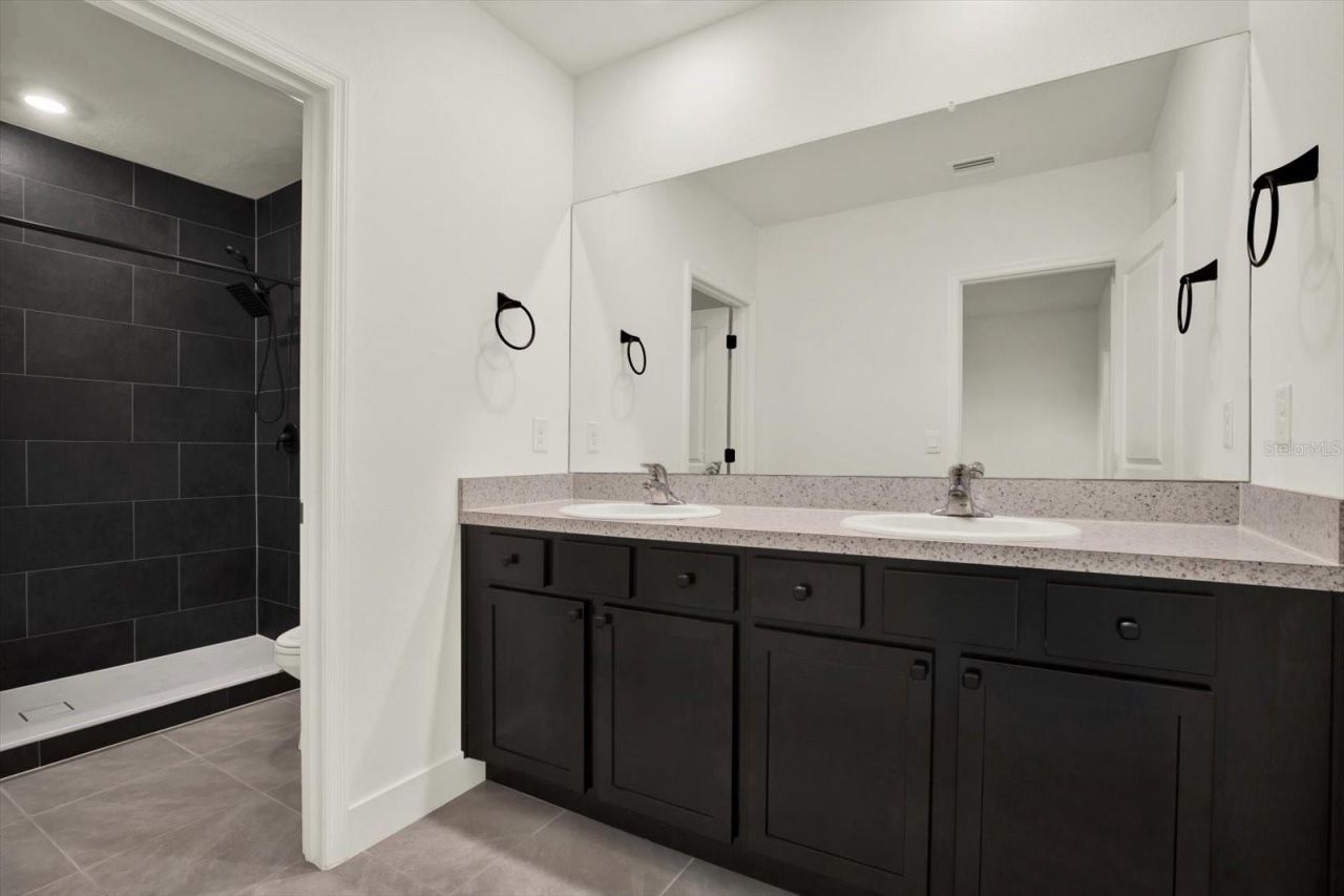 33018 Frosted Clover Way, Wesley Chapel, FL 33545 Photo
