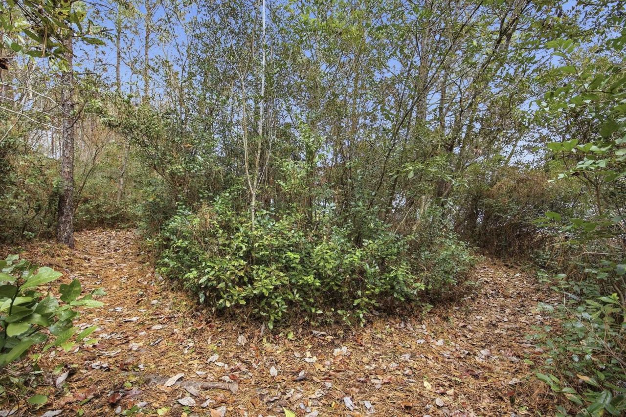 281 La Patos Dr. Photo 35