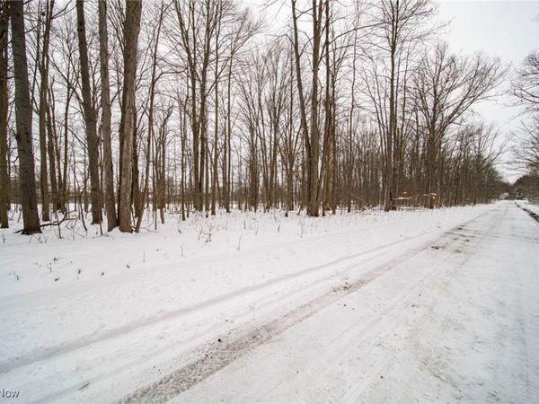 V/L 3-31 Willow Street, Solon, OH 44139