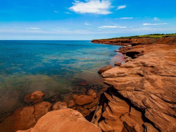 7605 N Sanibel Circle, Tampa, FL 33637