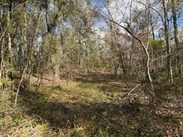 SW 22nd Pl, Bell, FL 32619