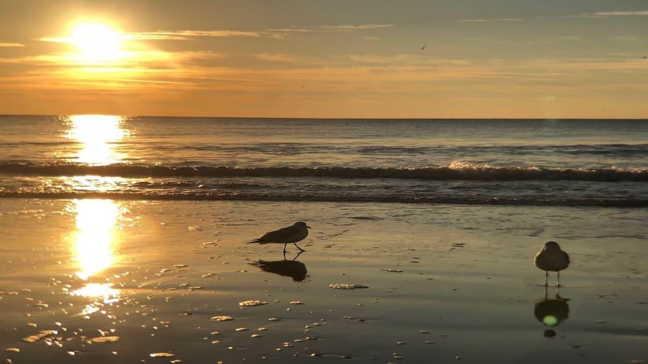 1207 S Ocean Blvd. Photo 16