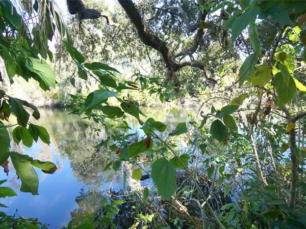 1424 E PARK CIRCLE, TAMPA, FL 33604