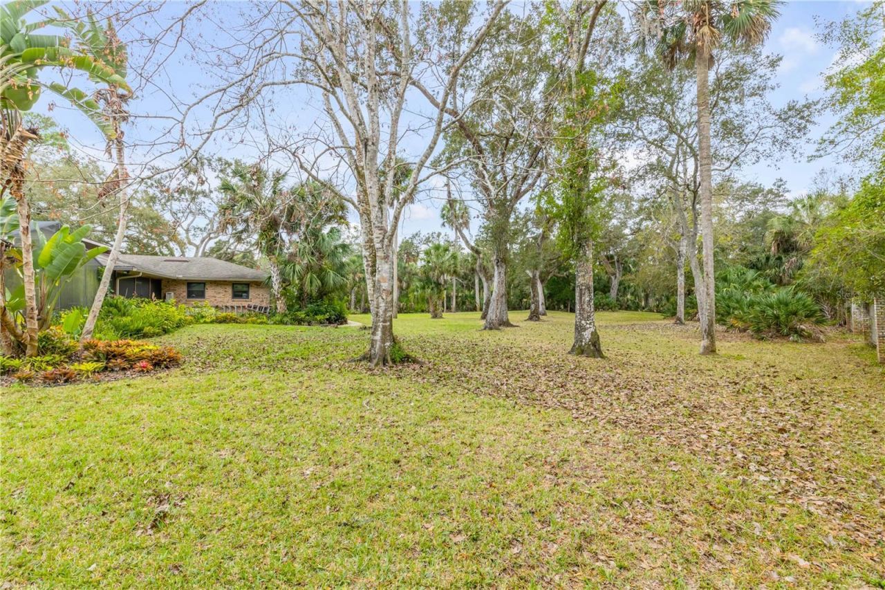 1391 Scarlett Trail, New Smyrna Beach, FL 32168 Photo
