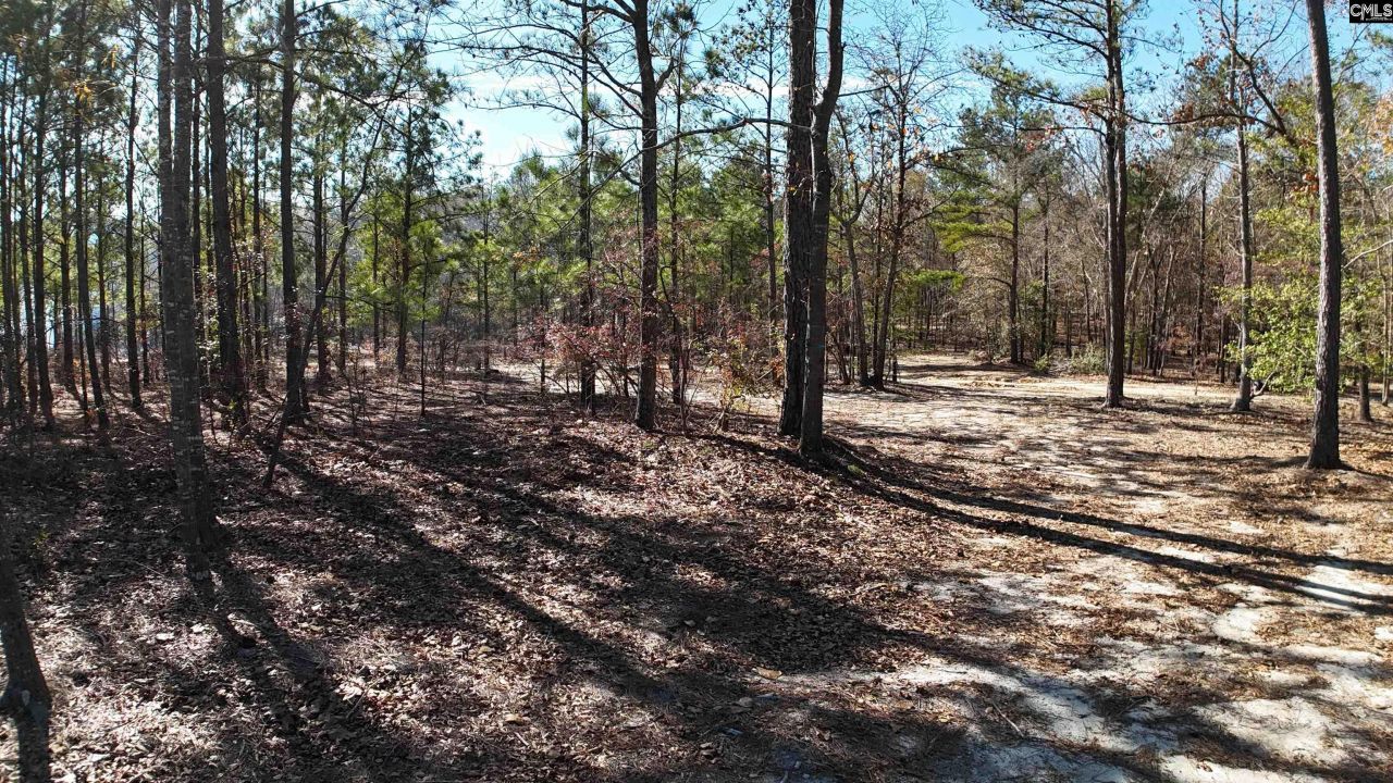 48 S Cub Road  Photo 7