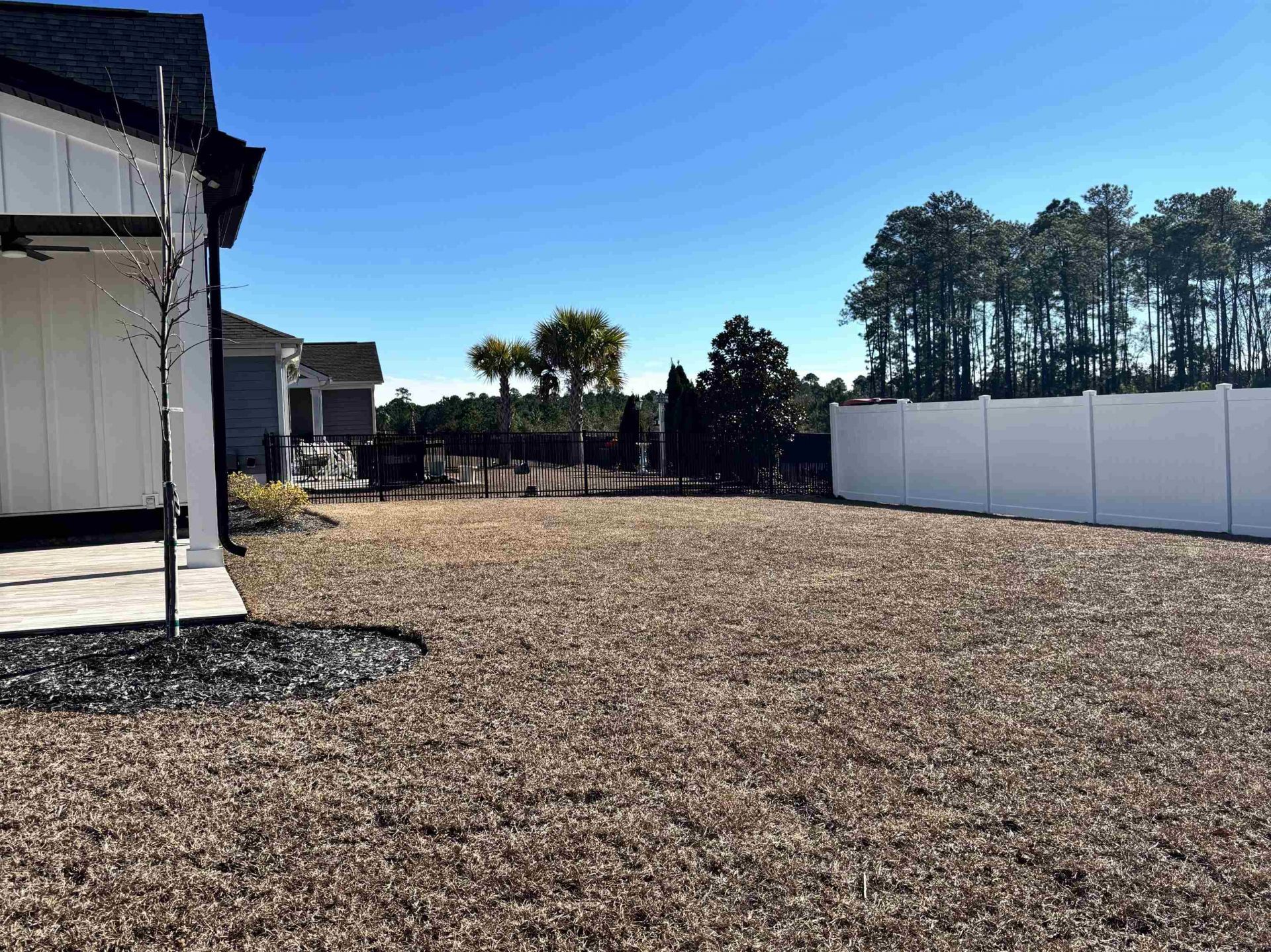 144 Sago Palm Dr. Photo 41