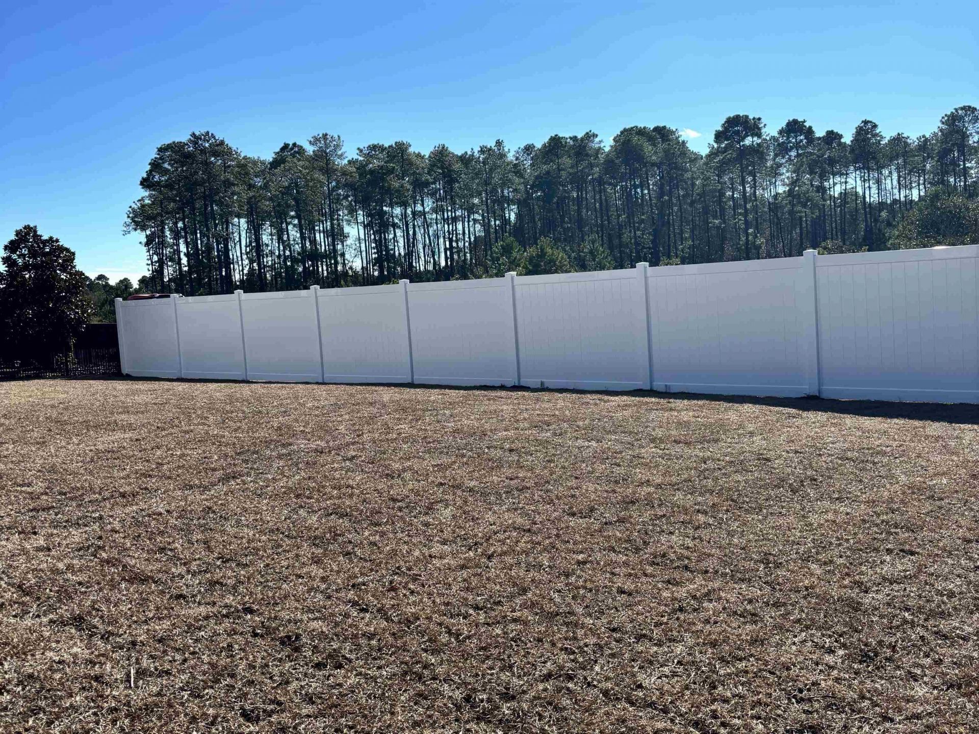 144 Sago Palm Dr. Photo 42