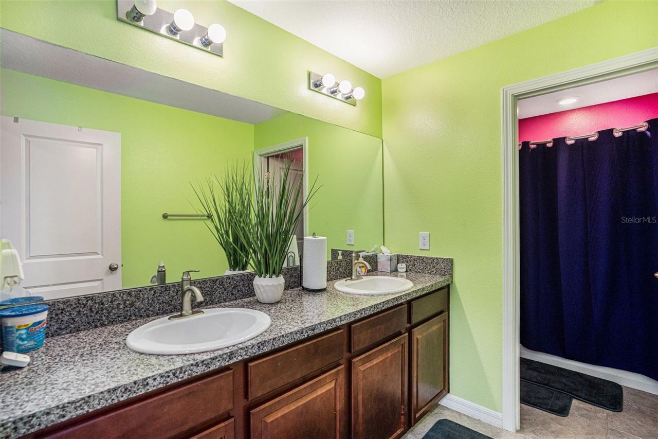 12631 Flatwood Creek Drive, Gibsonton, FL 33534 Photo