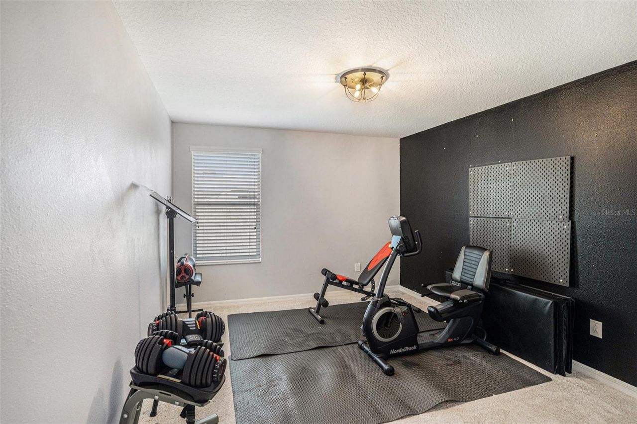 12631 Flatwood Creek Drive, Gibsonton, FL 33534 Photo