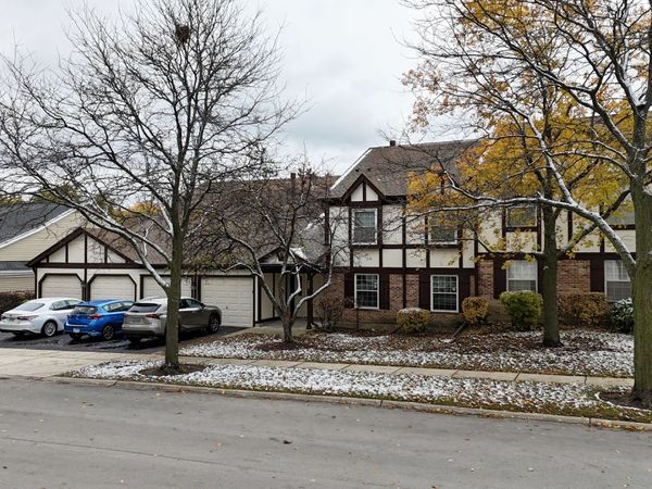 25 Illinois Avenue, Unit M1, Schaumburg, IL 60193
