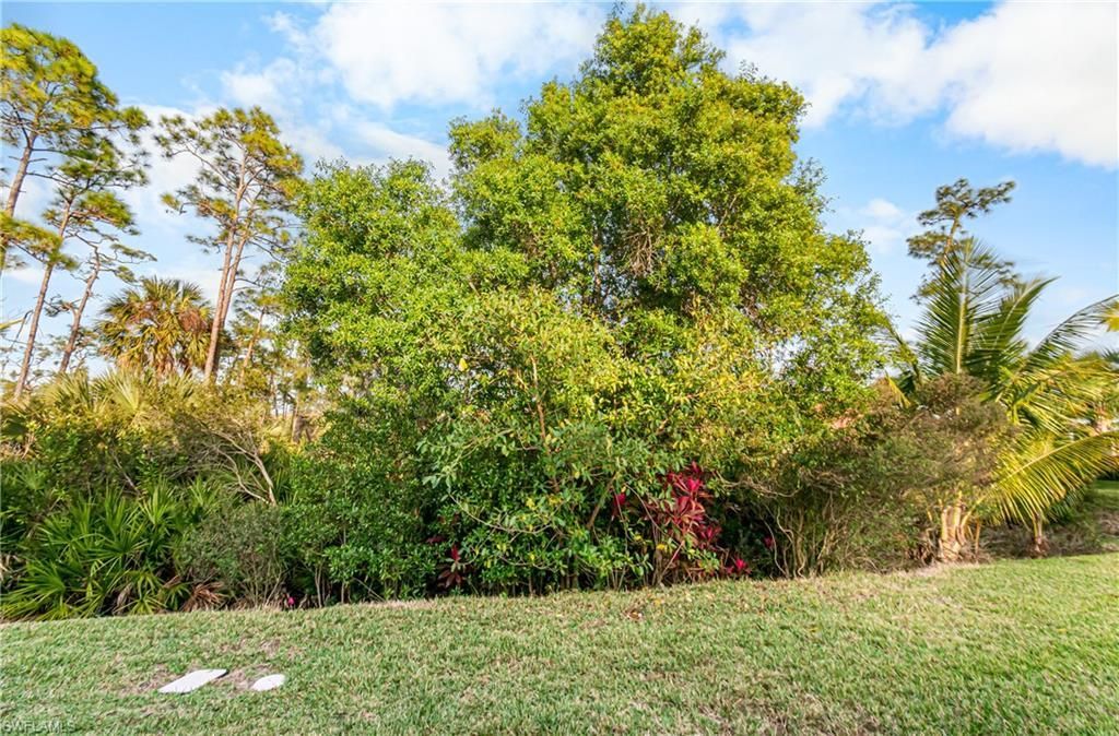 9101 Water Tupelo Rd, Fort Myers, FL 33912 Photo