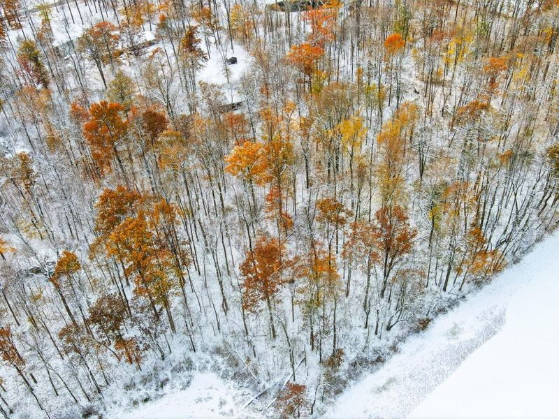 14333 Meranda Road, Anna, OH 45302 Photo 103