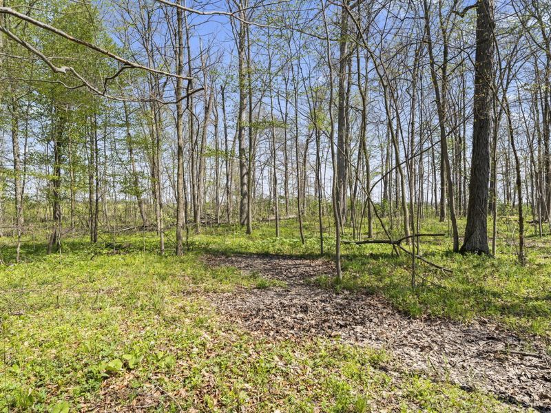 14333 Meranda Road, Anna, OH 45302 Photo 91