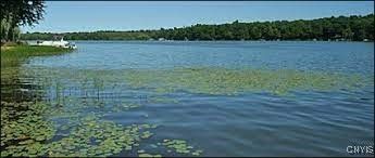 Off Duck Lake Rd, Red Creek, NY 13143 Main Photo