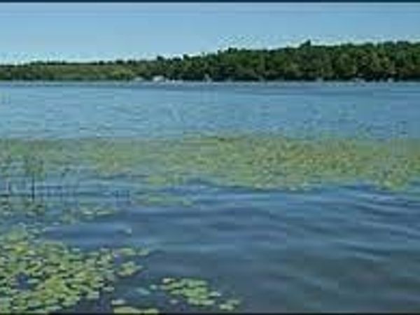 Off Duck Lake Rd, Red Creek, NY 13143