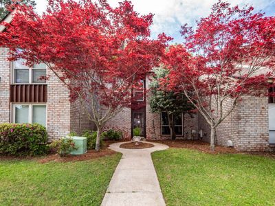 3 Brighton Circle, Charleston, SC 29414