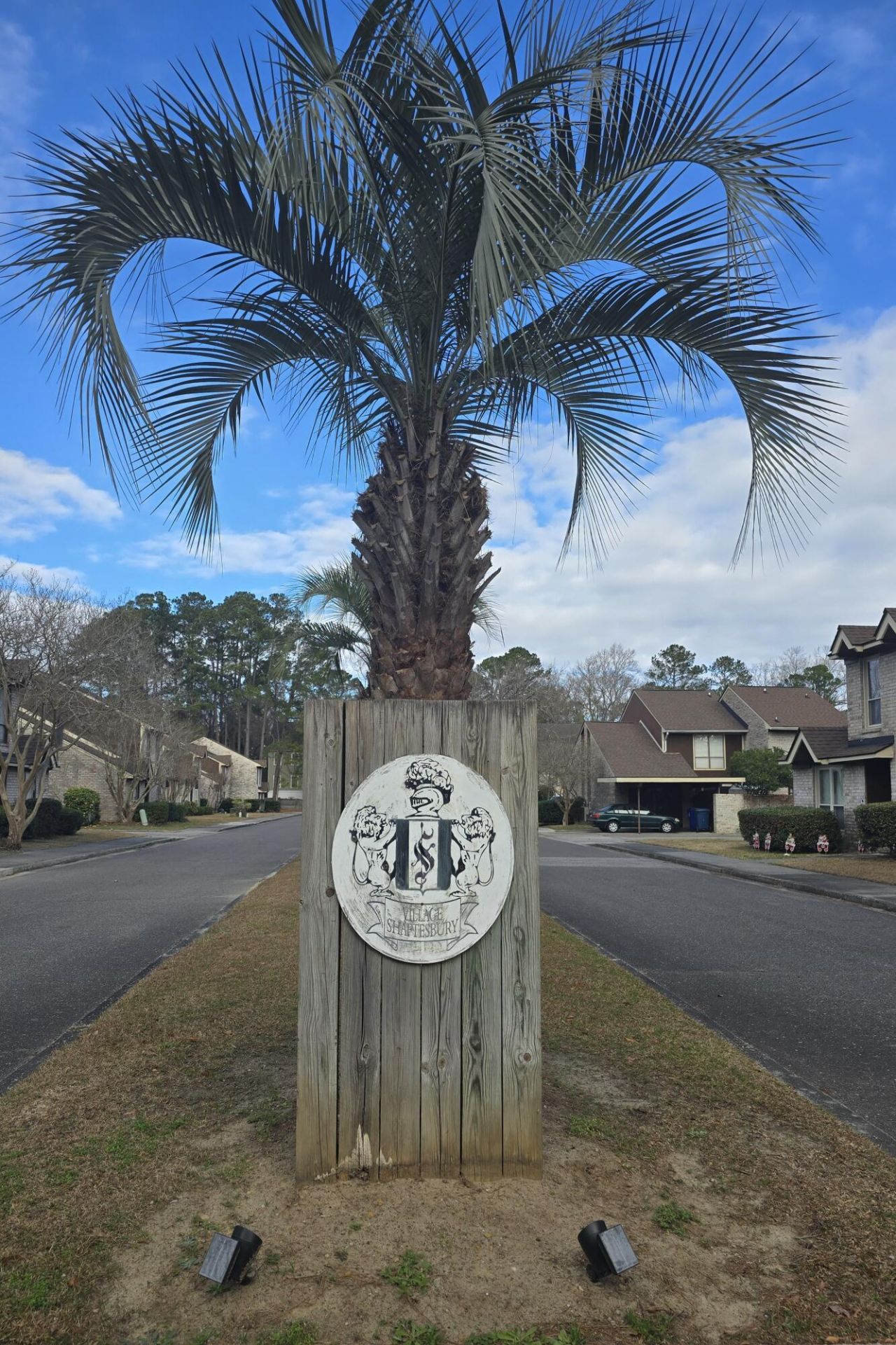 3 Brighton Circle Photo 41