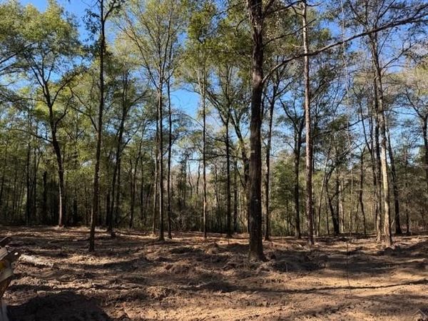 0 Danner Road, Wilmer, AL 36587