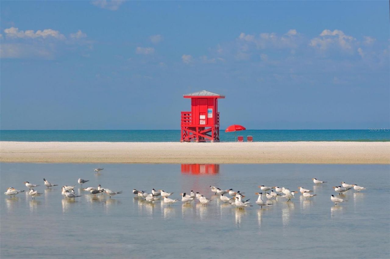 6157 Midnight Pass Road, Unit B12, Sarasota, FL 34242 Photo