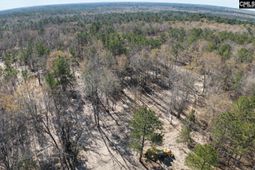 48 S Cub Road  photo 4