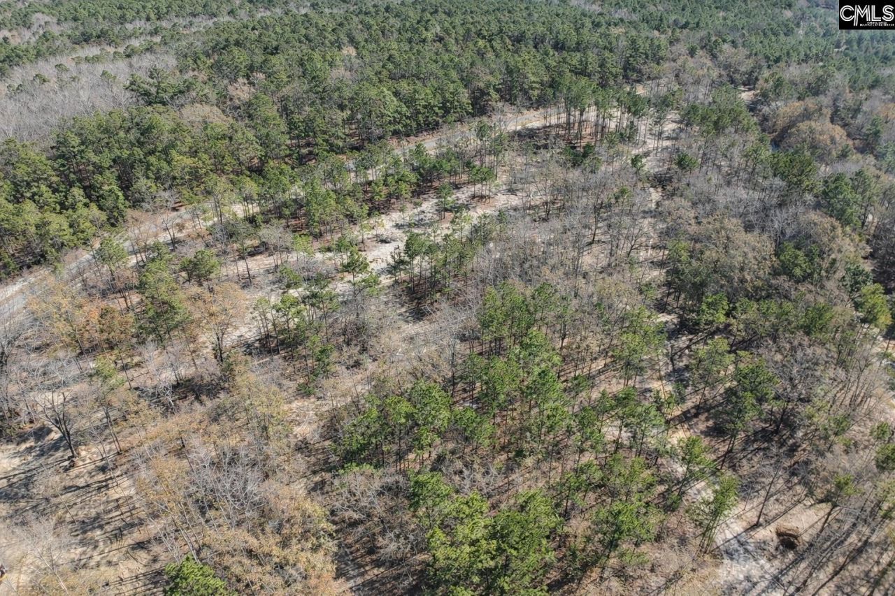 48 S Cub Road  Photo 4