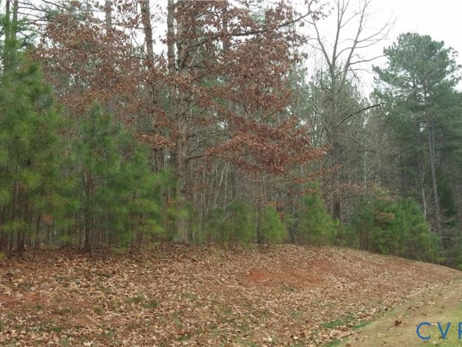 Property Image 11